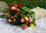 bluemme-2130970_1280.jpg