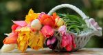 still-life-3389118_1280.jpg